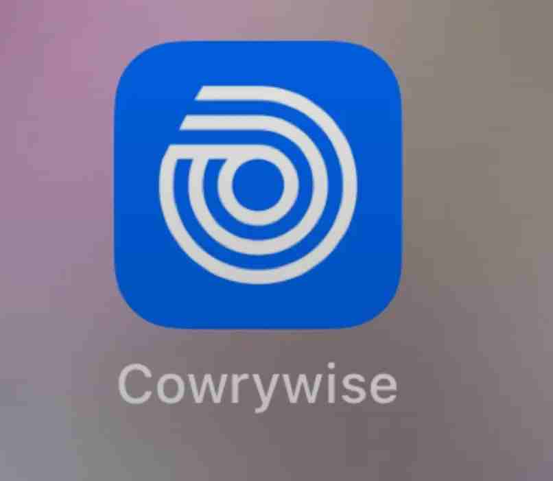 Cowrywise App